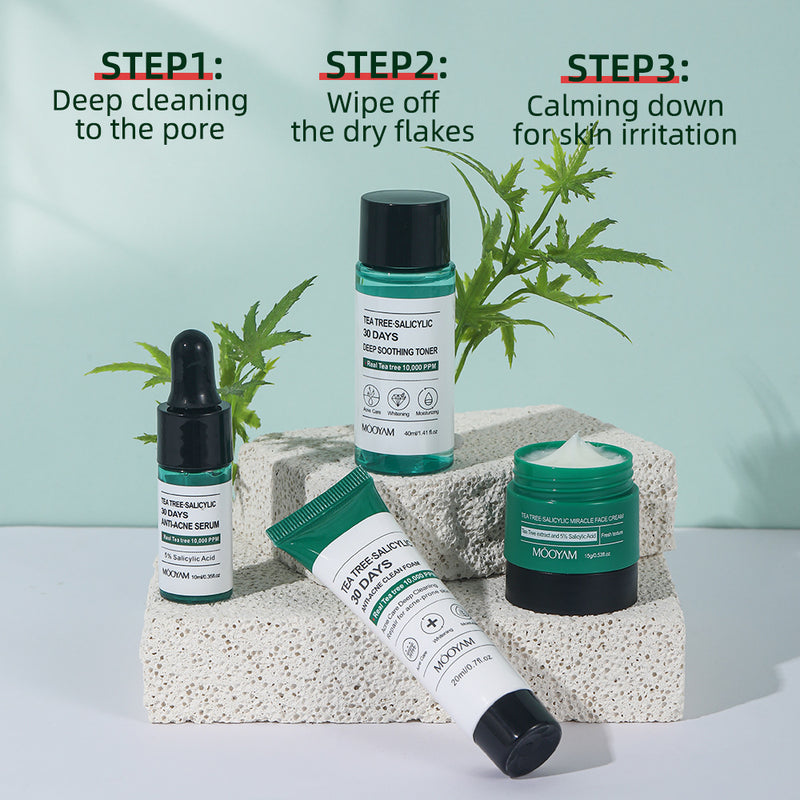 Tea Tree Acne Removing Box Skin Care Set